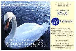 ヒーリングミュージック即興演奏ライブ「Peaceful Music Live」@ヒカリノカフェ