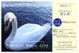 ヒーリングミュージック即興演奏ライブ「Peaceful Music Live」@ヒカリノカフェ