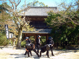 彩りの城下町長府 ~春~ 「長府毛利邸公開15周年記念」