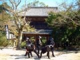 彩りの城下町長府　～春～　「長府毛利邸公開１５周年記念」