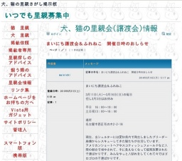 猫とのふれあい会&譲渡会