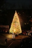 クリスマスツリー点火祭　～聖学院大学・聖学院大学附属みどり幼稚園