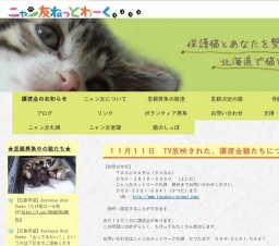 保護猫の里親譲渡会