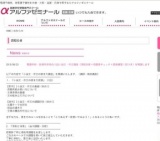 看護学校・医療系学校の社会人入試・一般入試に向けた小論文の書き方講座（添削20枚＋志願書チ...