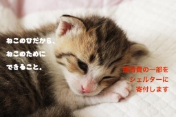 ねこの日だから。♡を送ろうねこせっけん。