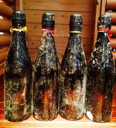 「笹一酒造の海中で熟成したワインと蔵で熟成したワインを飲み比べる会」｜Y-wineのブログ