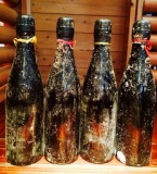 「笹一酒造の海中で熟成したワインと蔵で熟成したワインを飲み比べる会」｜Y-wineのブログ