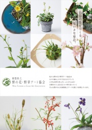 樹脂粘土 野の花・野草アート 新横浜教室開講