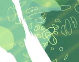 現代アニメーション入門〜アニメーションの認識をアップデートする｜amu