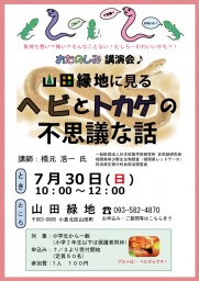 山田緑地に見る「ヘビとトカゲの不思議な話」