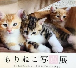 特別講演会「もりおか幸せにゃんこプロジェクト」