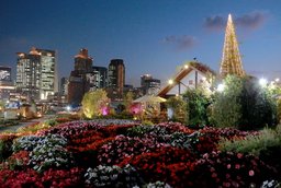 うめきたクリスマスガーデン