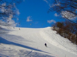 ウィンタースポーツ好き集まれ！スキー＆スノボ好き合コン★