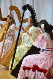 キラキラした音色に癒される体験レッスン「アルパ」