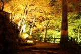 岐阜県　郡上八幡　八幡城園内特別ライトアップ