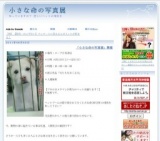 小さな命の写真展