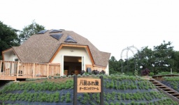 【八街ふれ愛オーガニックファーム】10月23日（日） さつまいも掘り＆焼き芋体験会！