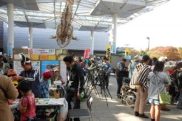 大阪自然史フェスティバル２０１２
