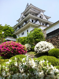 郡上八幡城　新緑まつり2013