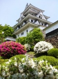 郡上八幡城　新緑まつり2013