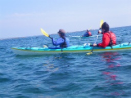 平日アウトドア!シーカヤック(カヌー)体験ツアーin湘南  社会人サークルFEAD