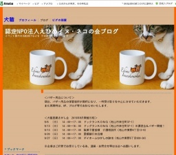 犬猫里親さがし会