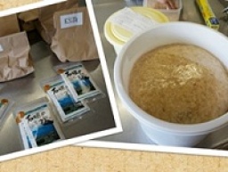 【くらしの学校】手づくり高級味噌と塩こうじ