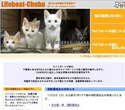 子猫の移動譲渡会