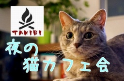 平日の夜は仕事帰りに猫カフェ★【ナチュラルな猫カフェでまったり楽しく猫カフェ会】あっと池袋