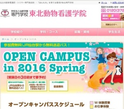 ふれあい＆充実体験DAY