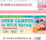 ふれあい＆充実体験DAY