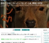 奈良にシカない キャッシュフローゲーム会 : 奈良シカCFG 2016年12月開催