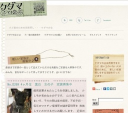 犬と猫の譲渡会