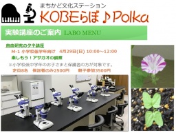 体験講座：自由研究のタネ～楽しもう！アサガオの観察