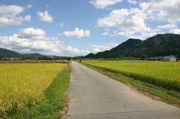 飛騨里山サイクリング　無料体験モニターサイクリスト大募集！
