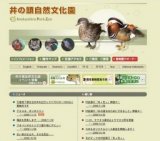 子タヌキ、ポンポコリン