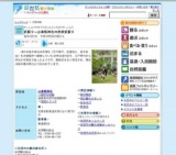 奴振り—山津照神社の武家奴振り