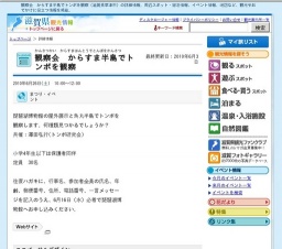 観察会 からすま半島でトンボを観察