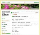 養老孝子源丞内の会 ひょうたん飛ばし大会