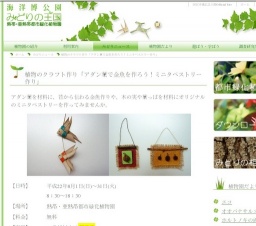 植物のクラフト作り「アダン葉で金魚を作ろう！ミニタペストリー作り」