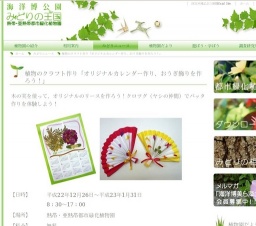 植物のクラフト作り「オリジナルカレンダー作り、おうぎ飾りを作ろう！」