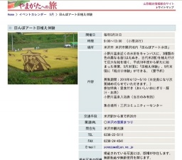 田んぼアート田植え体験