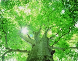 ６月のカフェイベント〜優しさの廻り会い〜