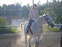 GWイベント 本格乗馬体験  アウトドア社会人サークルFEAD