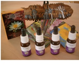 『夢を叶える』 ワイルドフラワーエッセンスセミナー - All About プロファイル