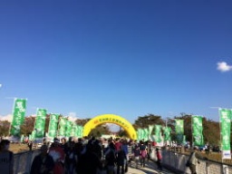 草加ふささら祭り２０１６～草加商工会議所祭り～ | 草加ふささらポータル