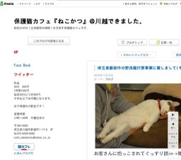 野良猫問題を考える