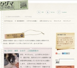 犬と猫の譲渡会