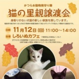 猫の里親譲渡会