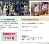 猫の譲渡会